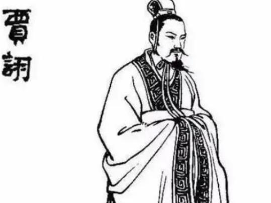 214年，毒士贾诩正在家中会客，突然得到消息谋士荀攸病逝，贾诩脸色大变，赶忙撵走