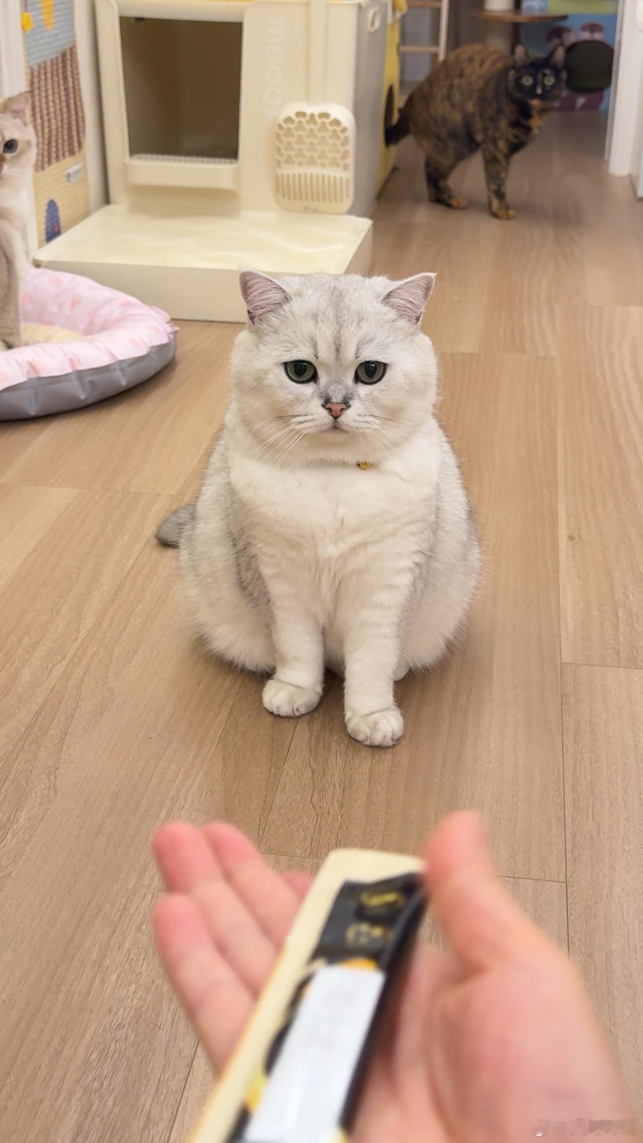 眼神瞬间清澈​​​