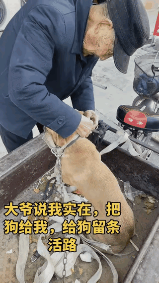 泪目了！这天一位小哥哥去散步，当他走到一个村口的时候，看到一位老人吃力的骑着一辆