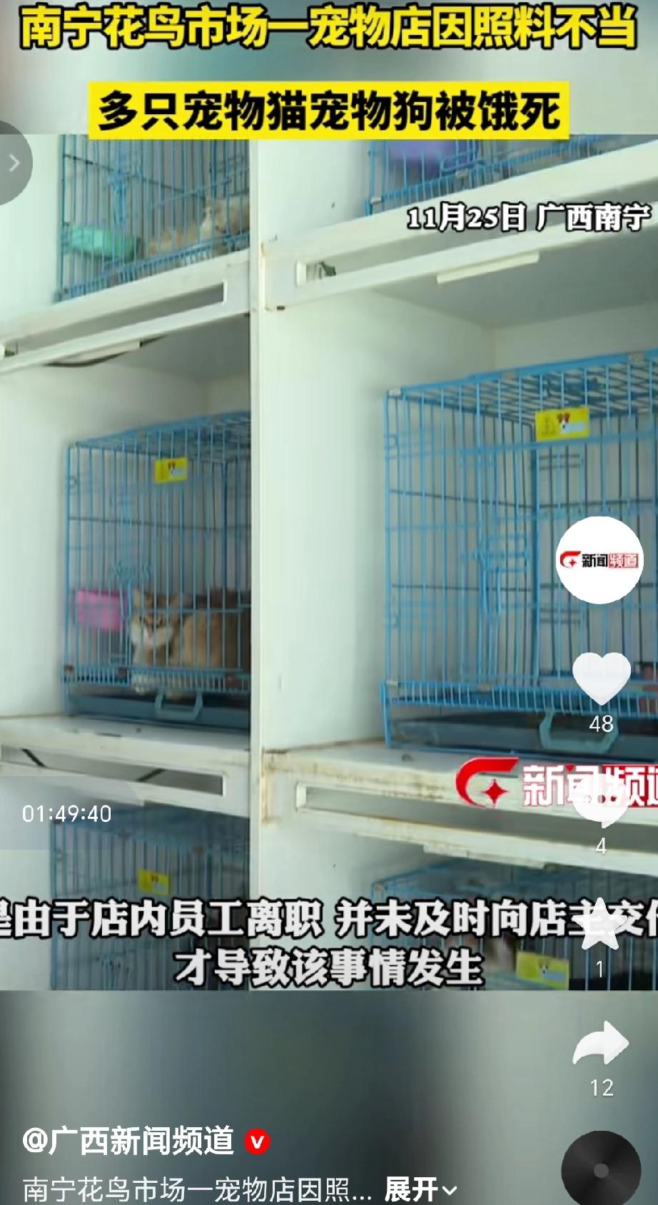 2025年11月25日，广西南宁花鸟市场的“肉嘟嘟萌宠”宠物店因照料不当员工内员