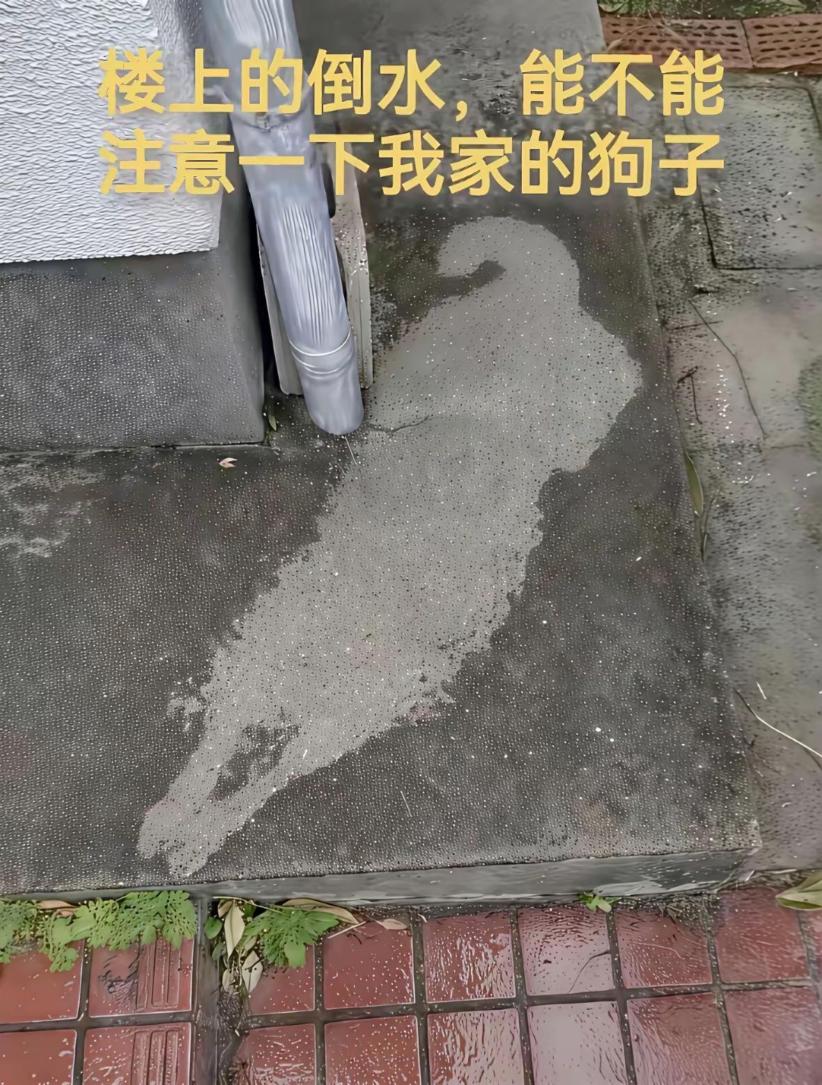 原谅我不厚道的笑了