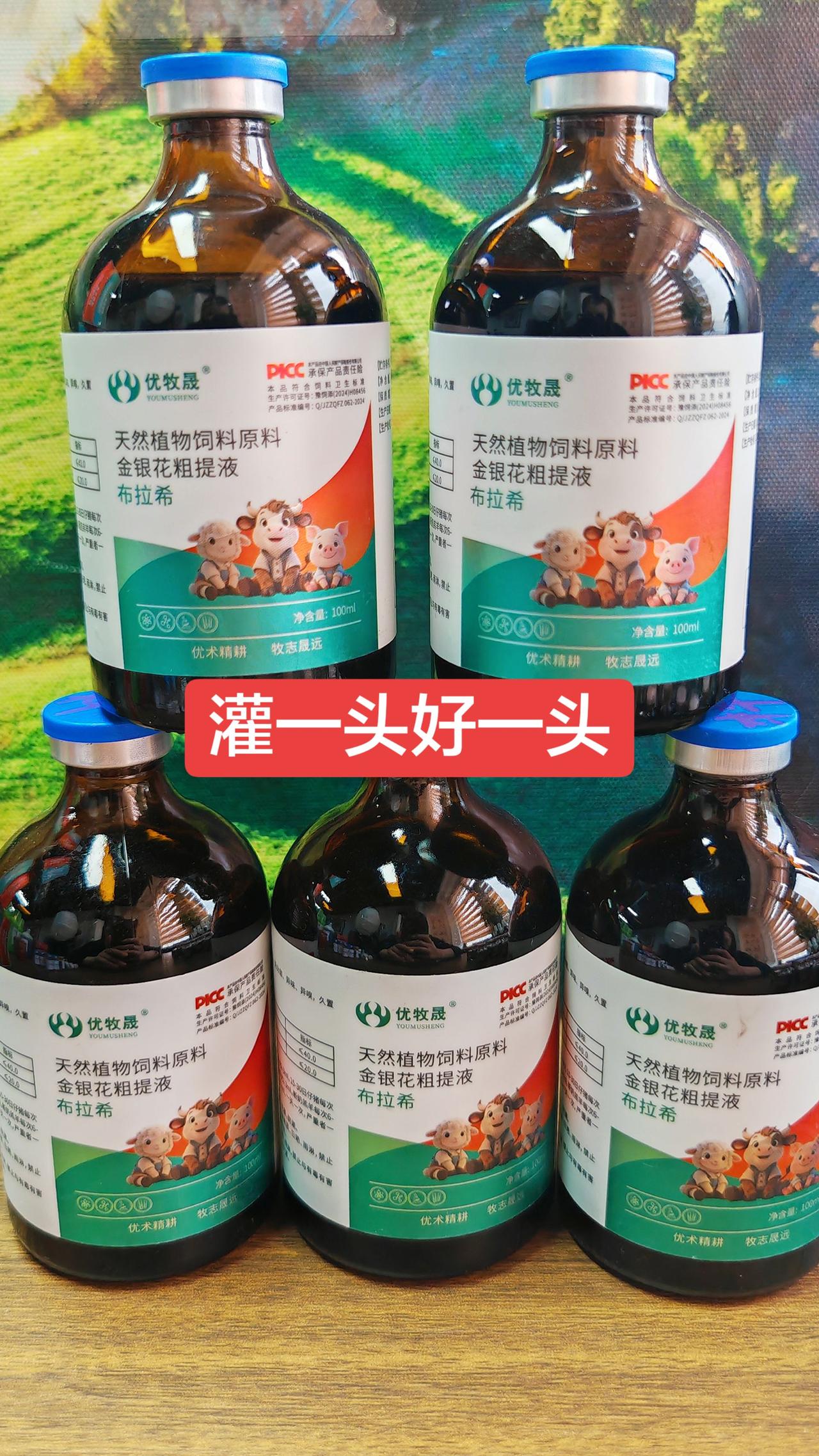 养羊人牛羊养殖农村养羊