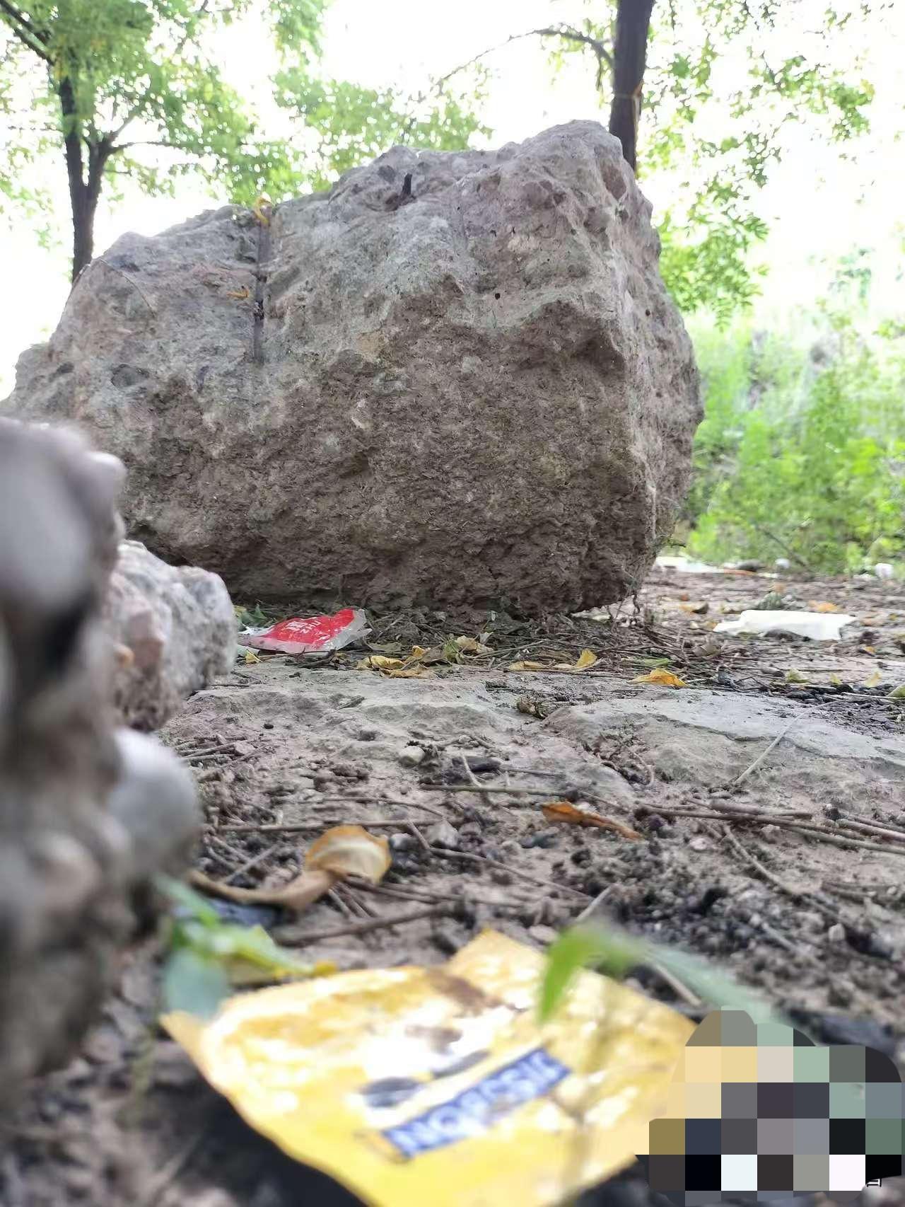 爬山爬到一半，真给我气笑了！现在年轻人胆子也太肥了，山上直接“打野”？