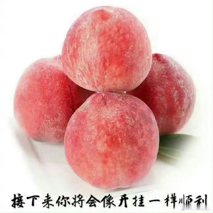 好运2026转发这颗桃子，接下来你将会像开挂一样顺利🍑