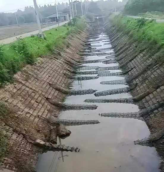 现在才知道为什么茅台这么贵了