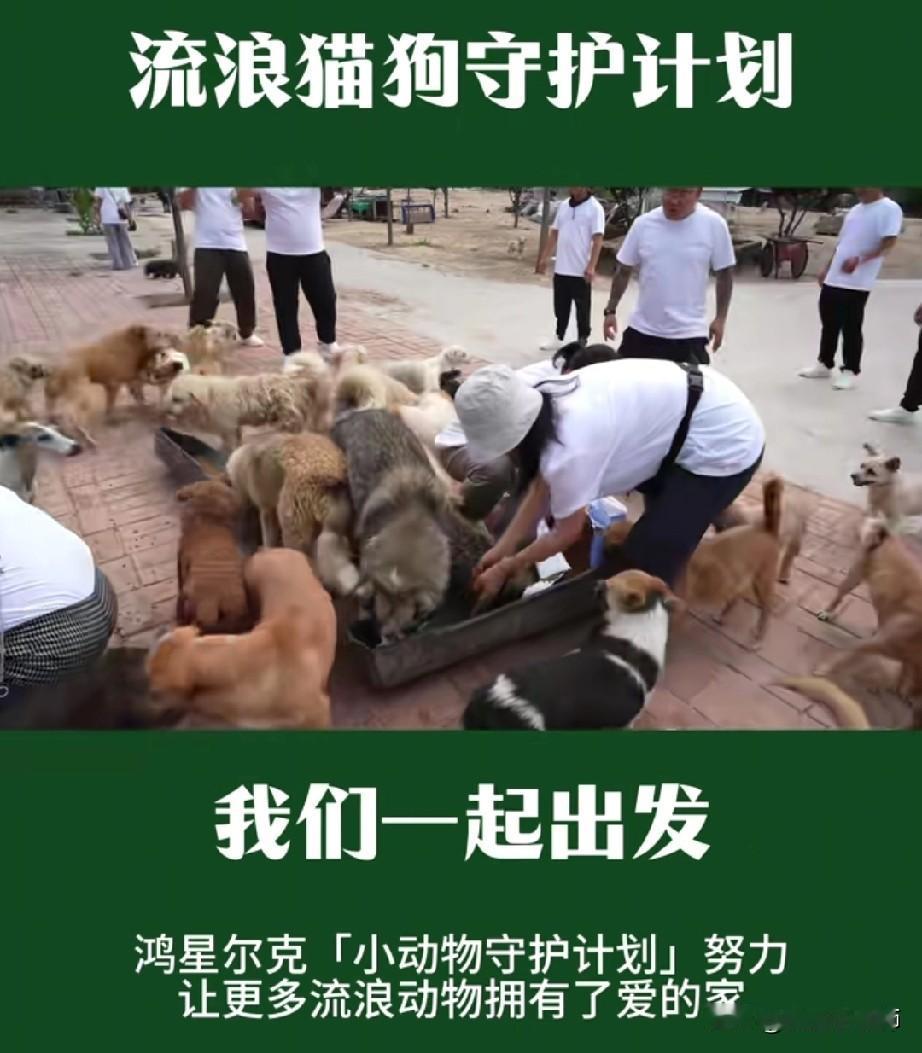 鸿星尔克花800万物资救助流浪猫狗，有很多人支持，也有不少人反对，支持者表