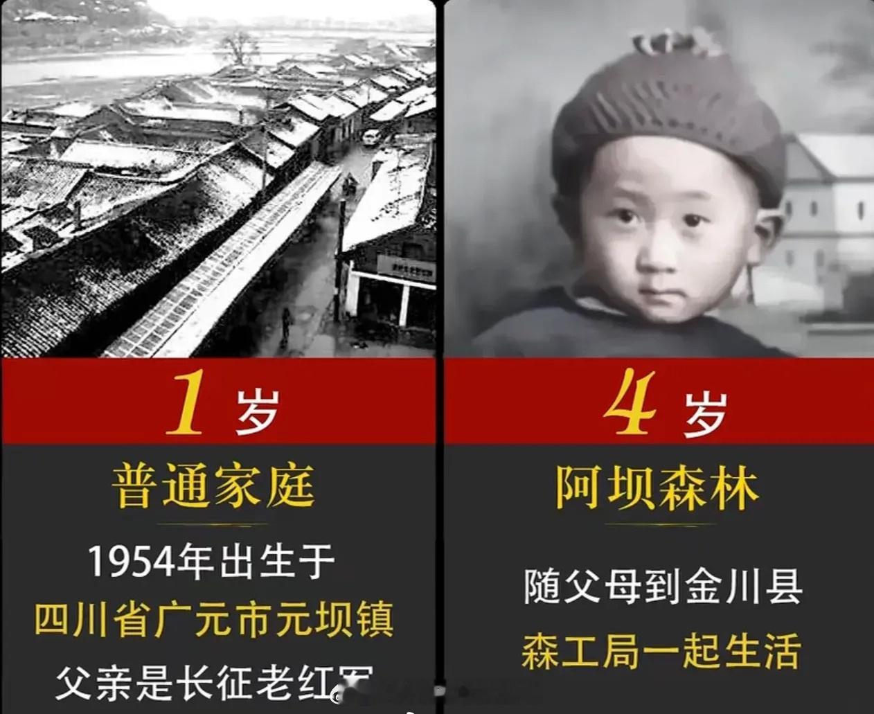 王健林的人生！​​​