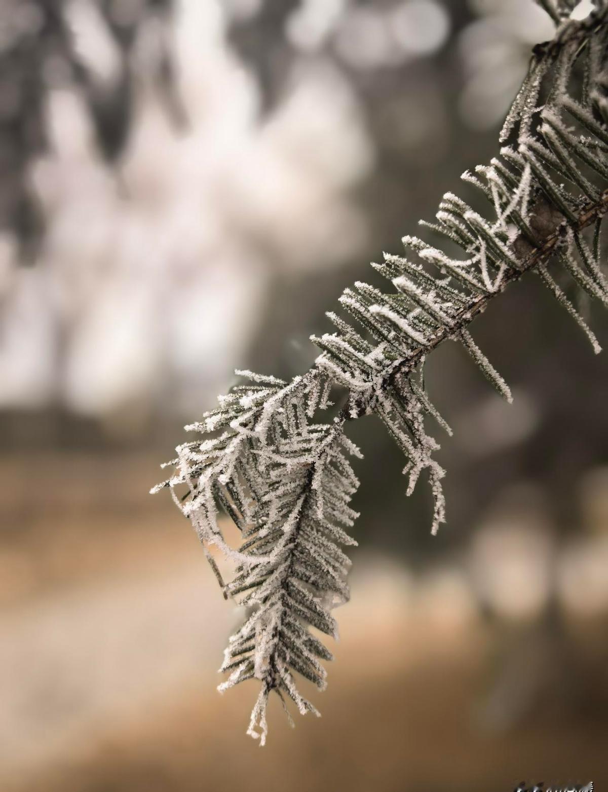 刚刚听说个事儿，真是扎心了：老两口为了去大城市帮儿子带娃，把老家房子挂中介了，结