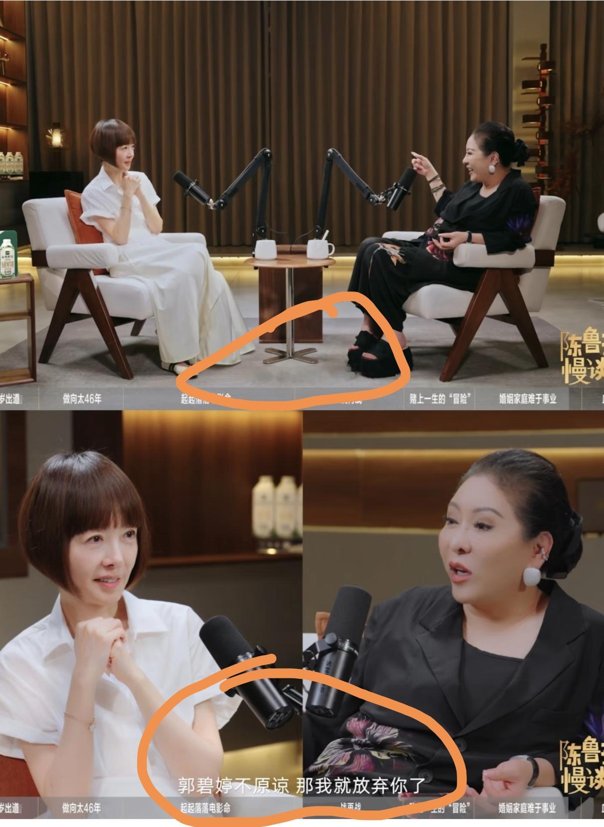 向太陈岚这个人，不能仔细深究。因为仔细一查的话，就会发现她上鲁豫节目聊儿子向佐的时候，全程在吐槽，一