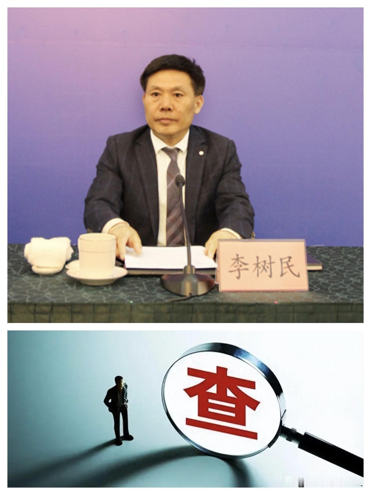 就在刚刚，6月1日，一级巡视员【李树民】被查的消息，于是我看了一下他的简历和工作