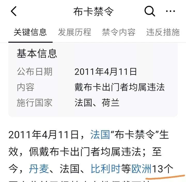 欧洲13国禁止戴穆斯林头巾，违者将面临罚款和牢狱之灾。在法国，戴穆斯林头