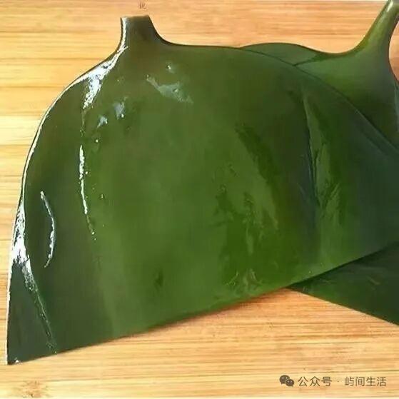 海带是植物还是动物海带既不是传统意义上的植物，也不是动物。按照现代生物
