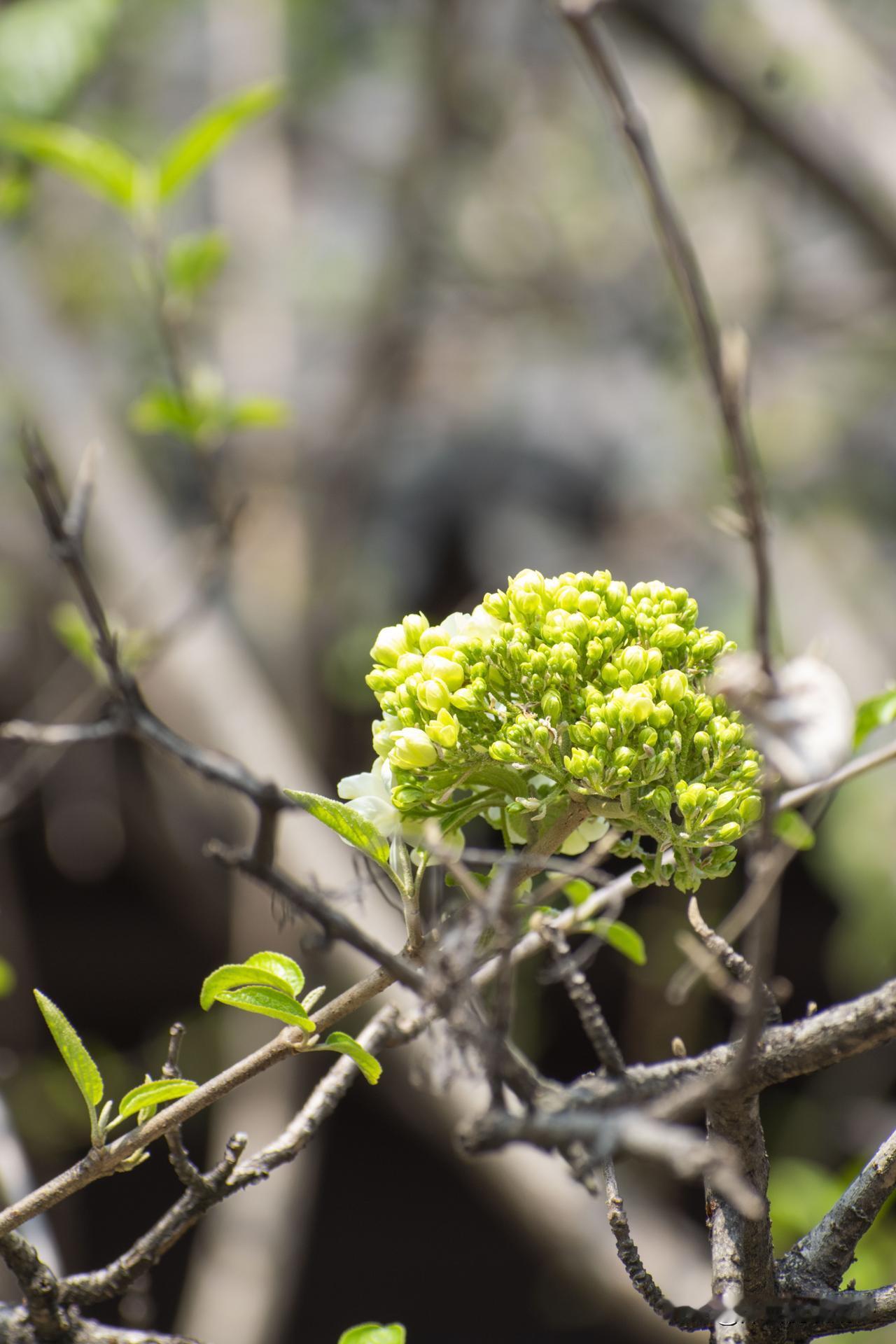 一位50+的老同事说：“钱最重要，钱能解决99%的问题，包括疾病。”那天
