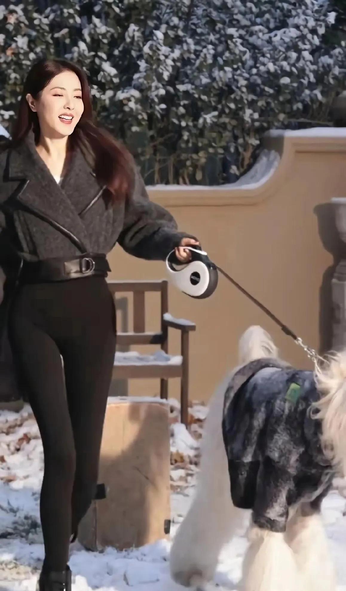 曾黎的腿！真的太绝了！😭刷到曾黎姐姐雪天遛狗的图，我又被美到了！别人下