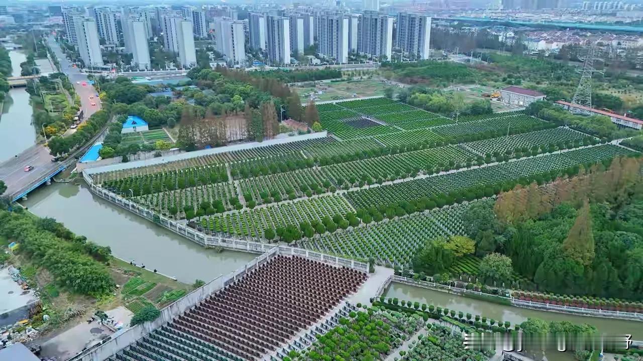 航拍上海市郊的一处墓地。从高空看下来，不仔细看的话第一反应应该认为下面是一片农田