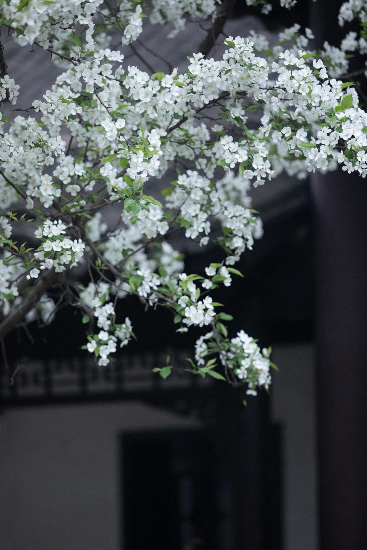 刚接待了一位来自南师附中的高三学生家长。孩子考了649.5分，在年级里的排名