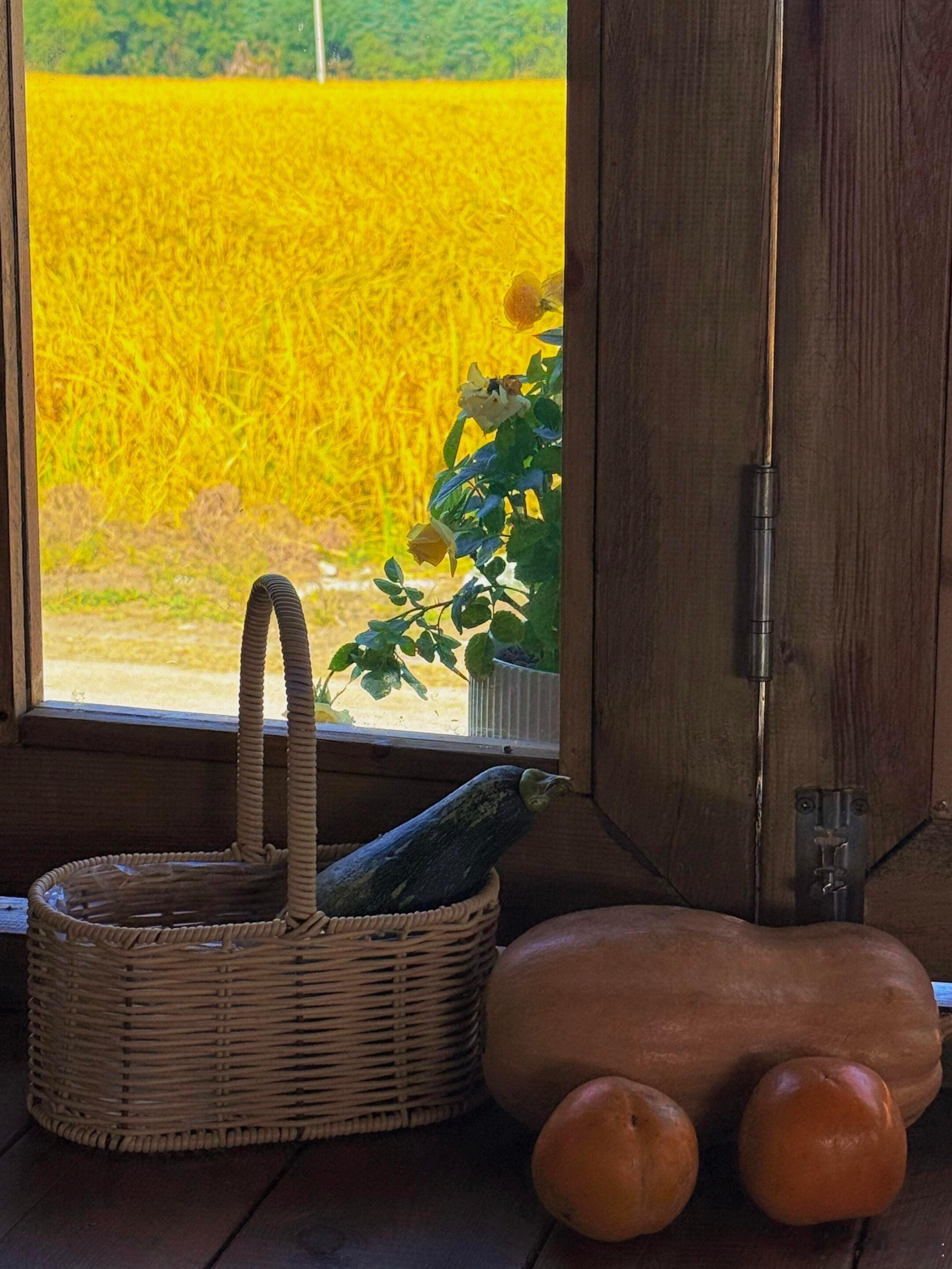 热爱世间万物，无最爱，无例外。来日不一定方长，当下皆是最好。所有的好，都不如刚