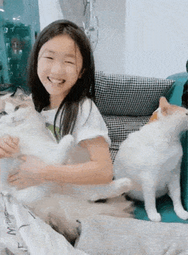 猫：摸过它的手以后就不要碰我了[汗]