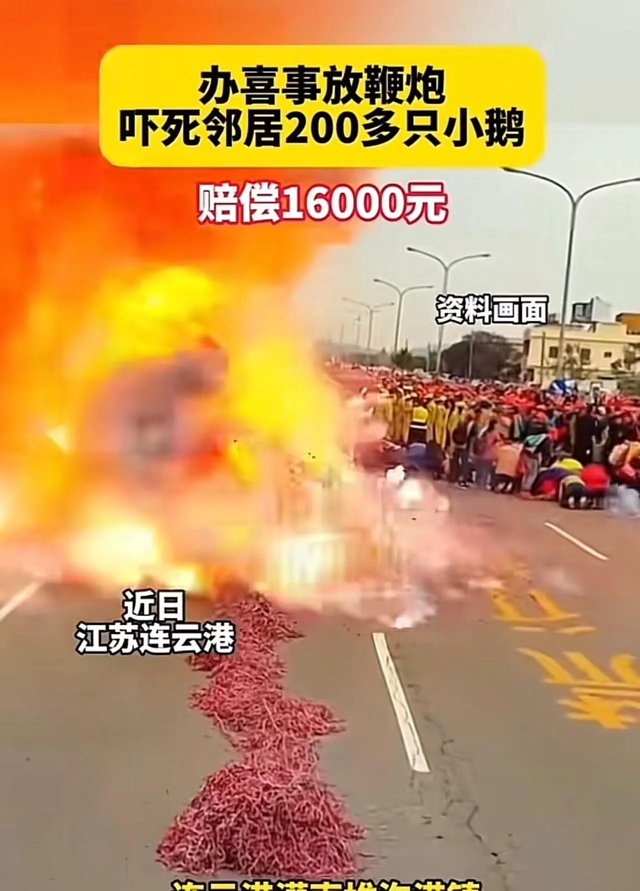 邻居家办喜事放鞭炮，“吓死”隔壁养殖场200多只小鹅！养殖户：“必须赔偿我的损失