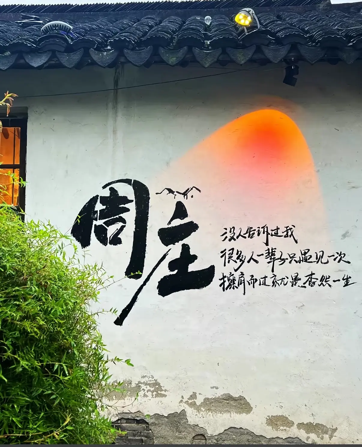 你一句春不晚、我便来到了真江南