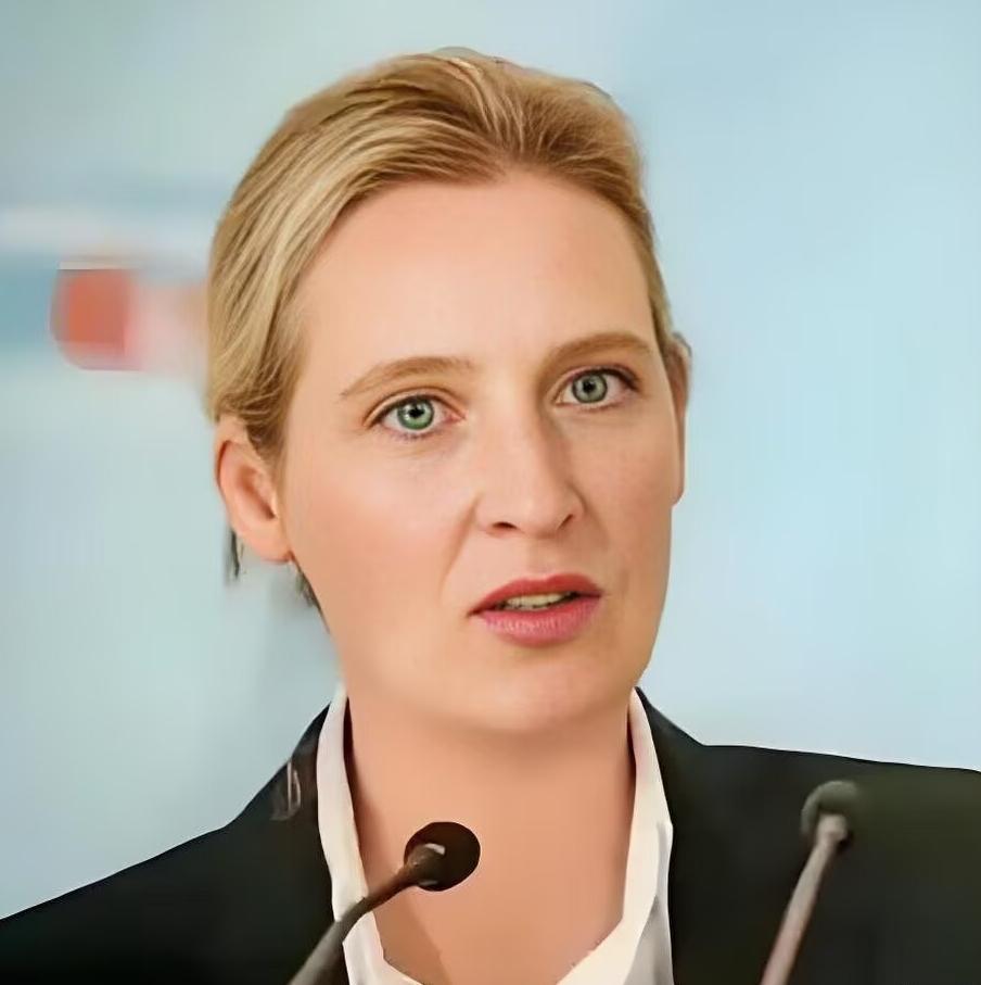 1月26日，德国选择党领袖爱丽丝·魏德尔称，“我可以明确告诉大家，待我们执掌政权