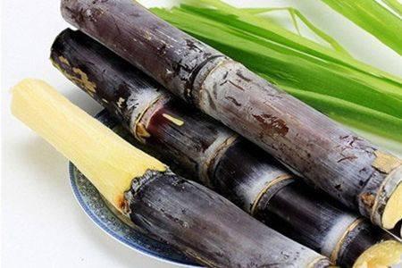 冬季吃甘蔗好处多