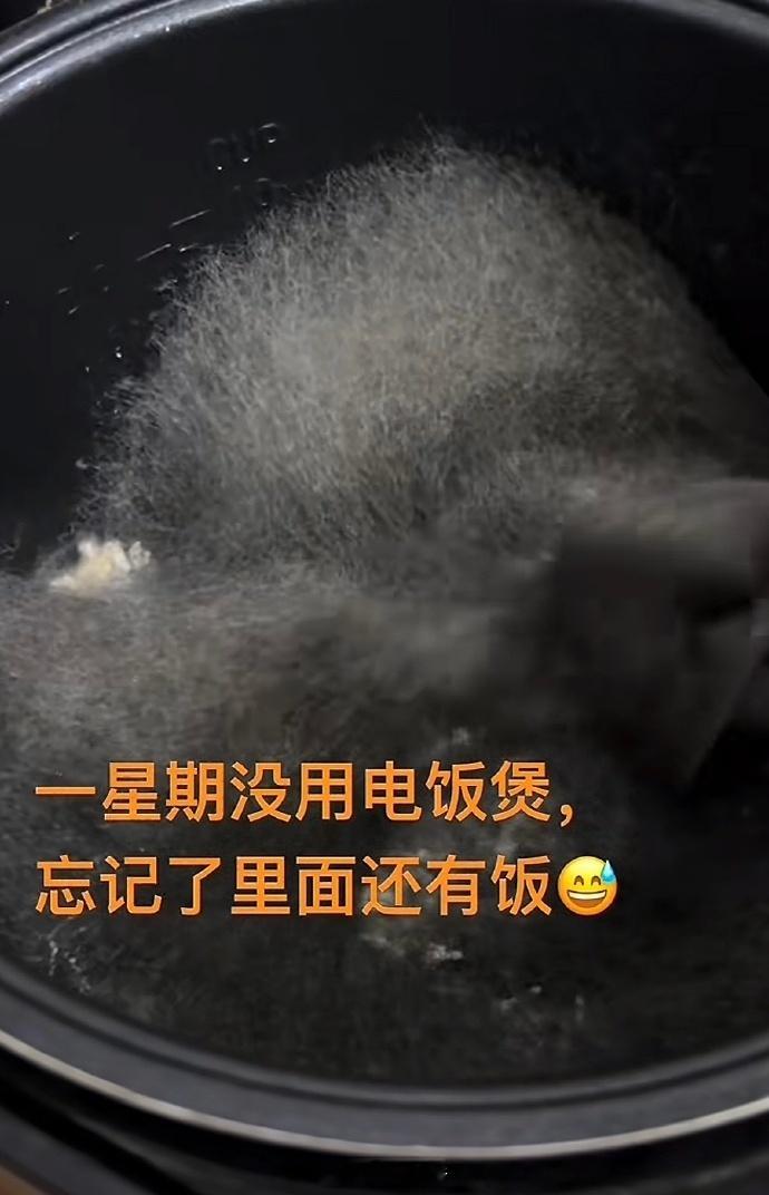 我嘞个太上老菌,先天实验圣体​​​!​​​