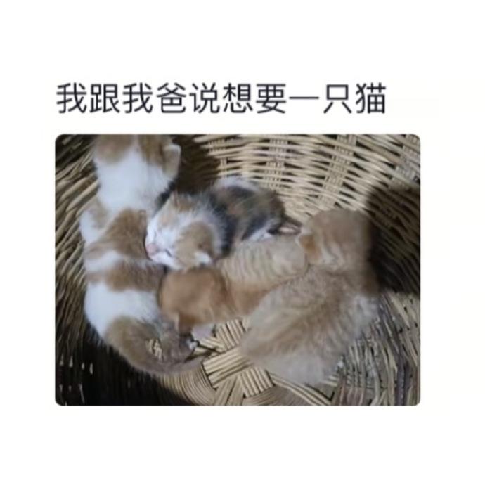 父亲总在莫名其妙的地方很大方​​​