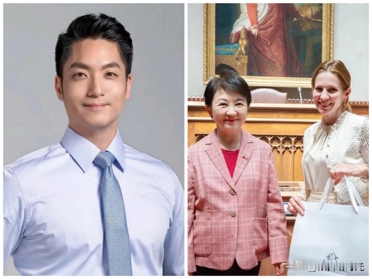 果然不出所料，台中市长卢秀燕今天连续在社交媒体上表示，当天她不仅拜会了奥地利议员