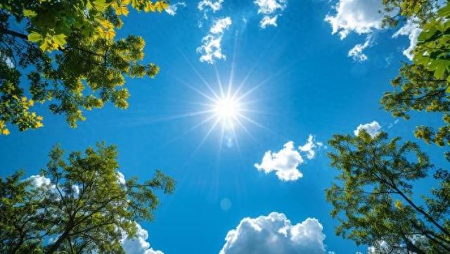 上海今夏特别热? 夏季平均气温已居历史同期第一, 但高温变多未必是常态