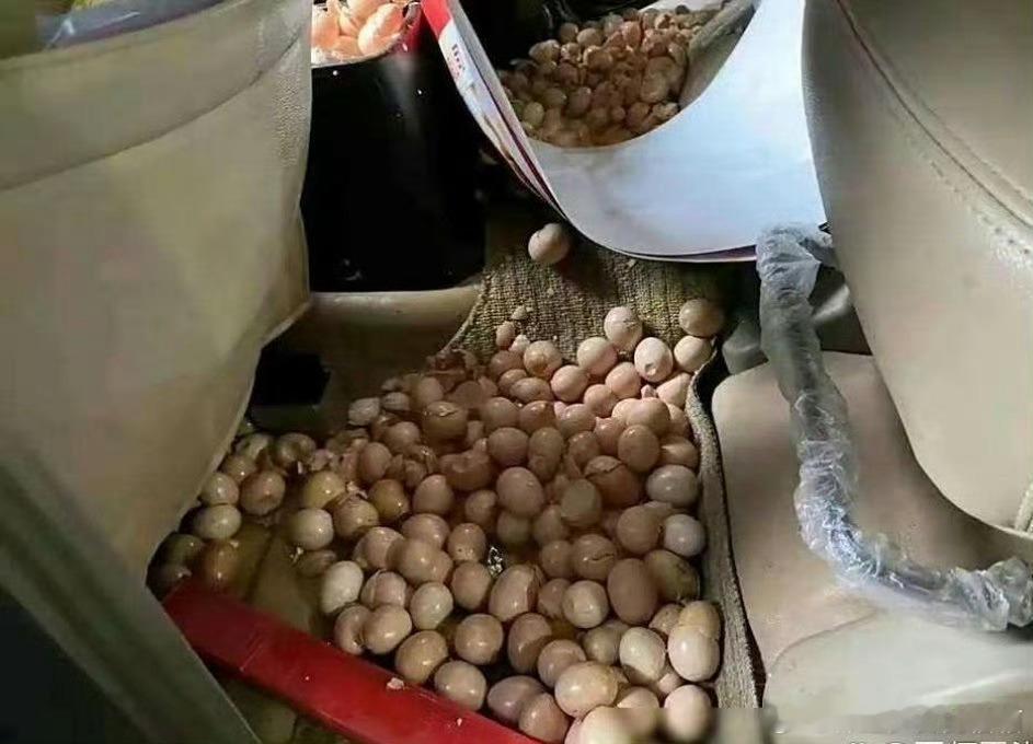 放假回一趟家父母塞了一车的鸡蛋，结果到家鸡蛋全碎了。