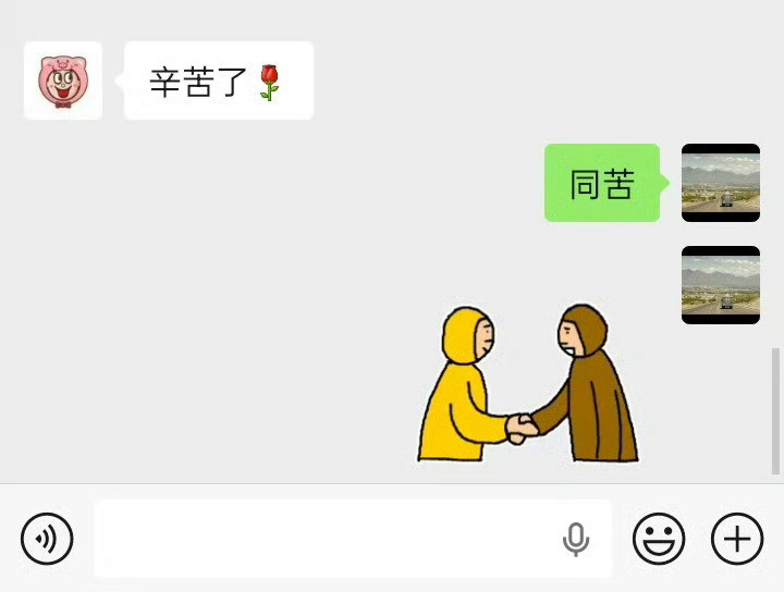 发现了辛苦了这句话的最佳回复哈哈哈好幽默