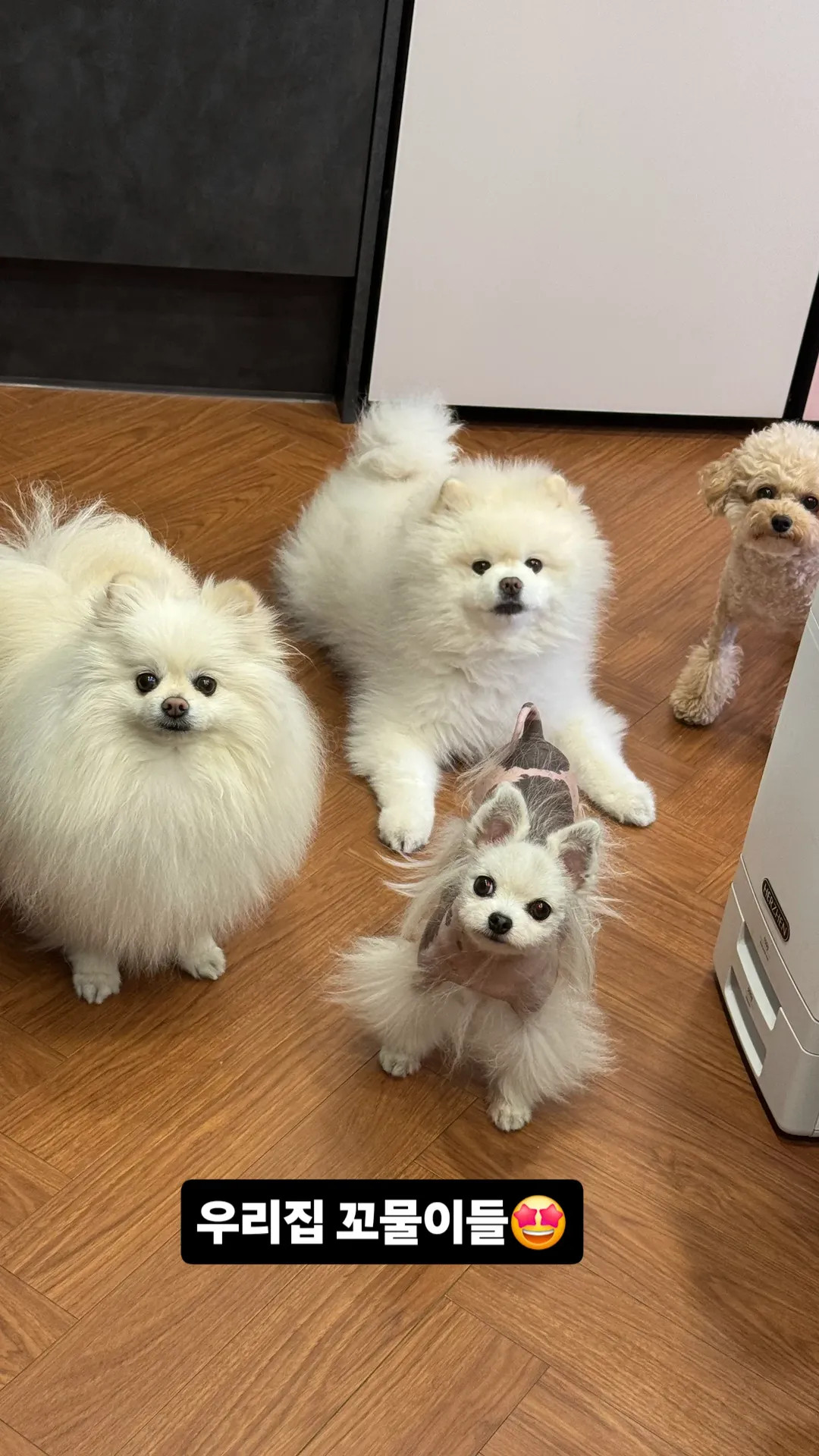 四个小鬼