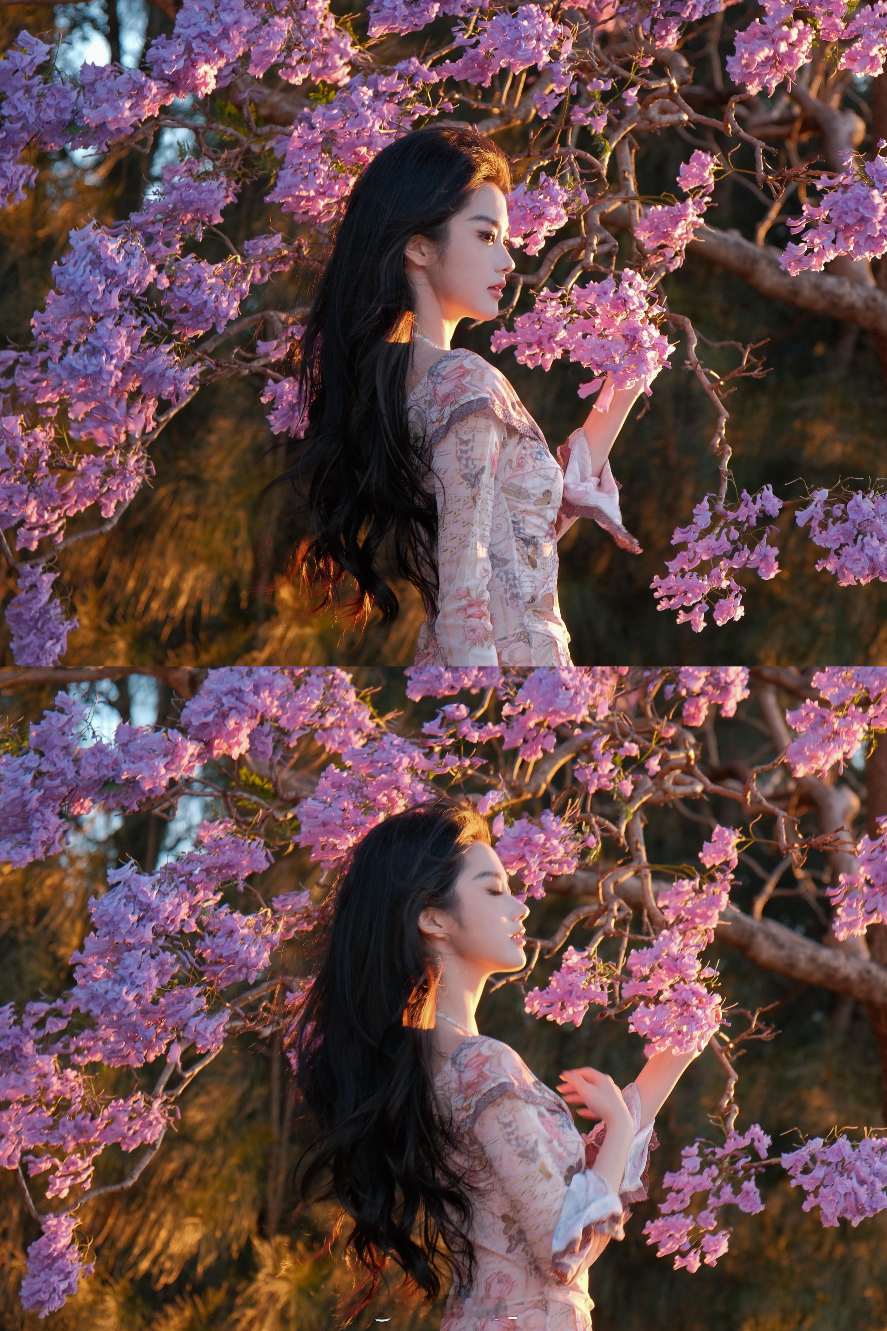 Jacaranda🪻​​​