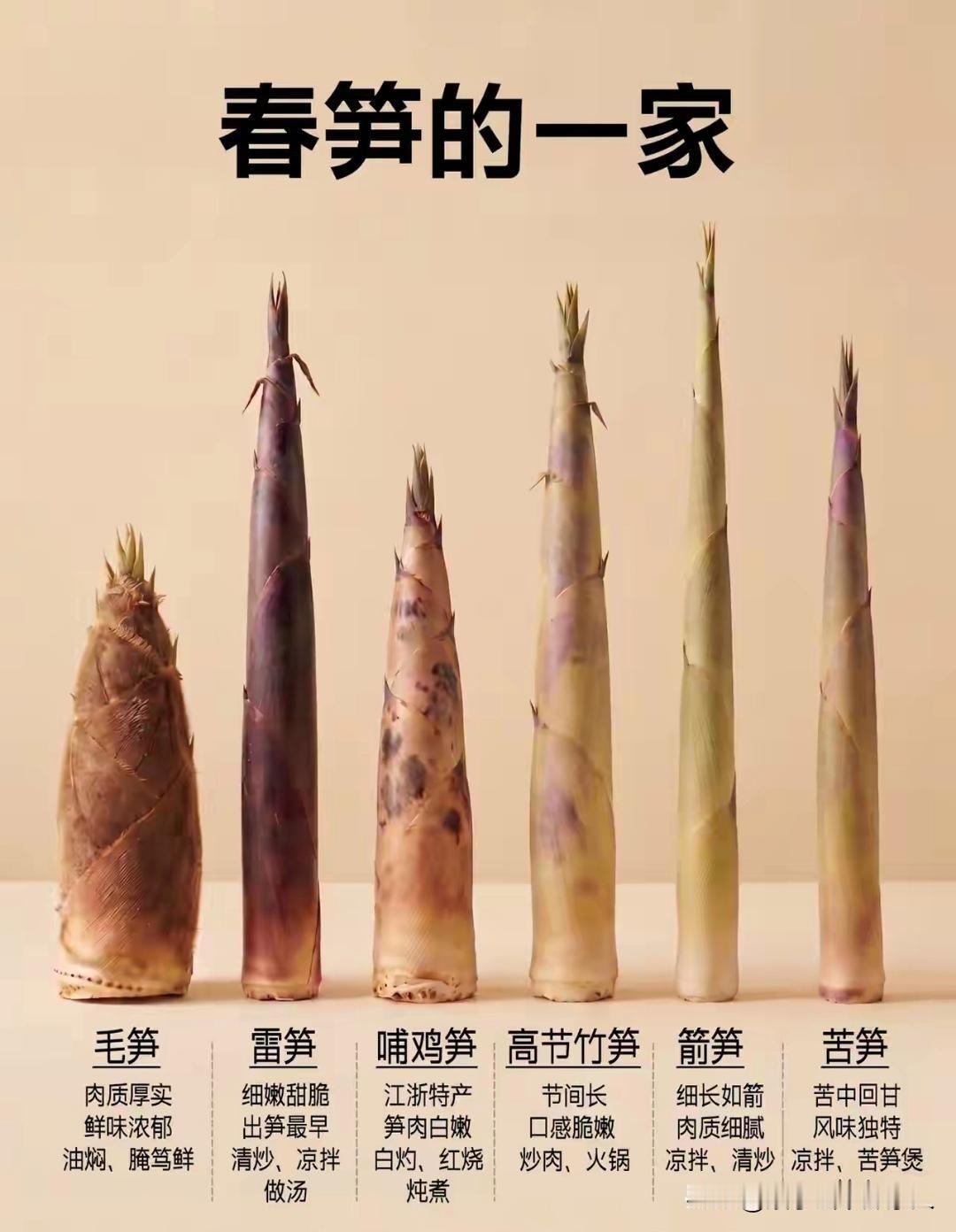 竹笋吃法，注意，食用前都得沸水过水5分钟去涩。