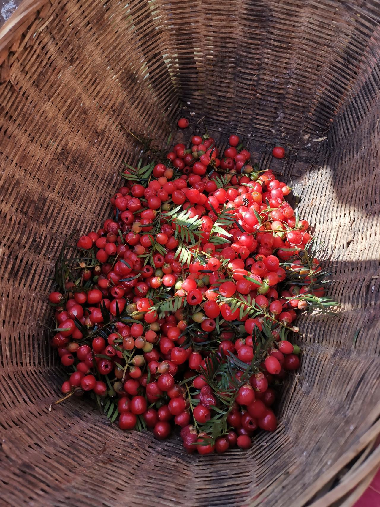 家族聚餐，姑父当众笑我：“挣那点钱不如跟我干。”我低头扒饭没吭声。散场后，他豪车