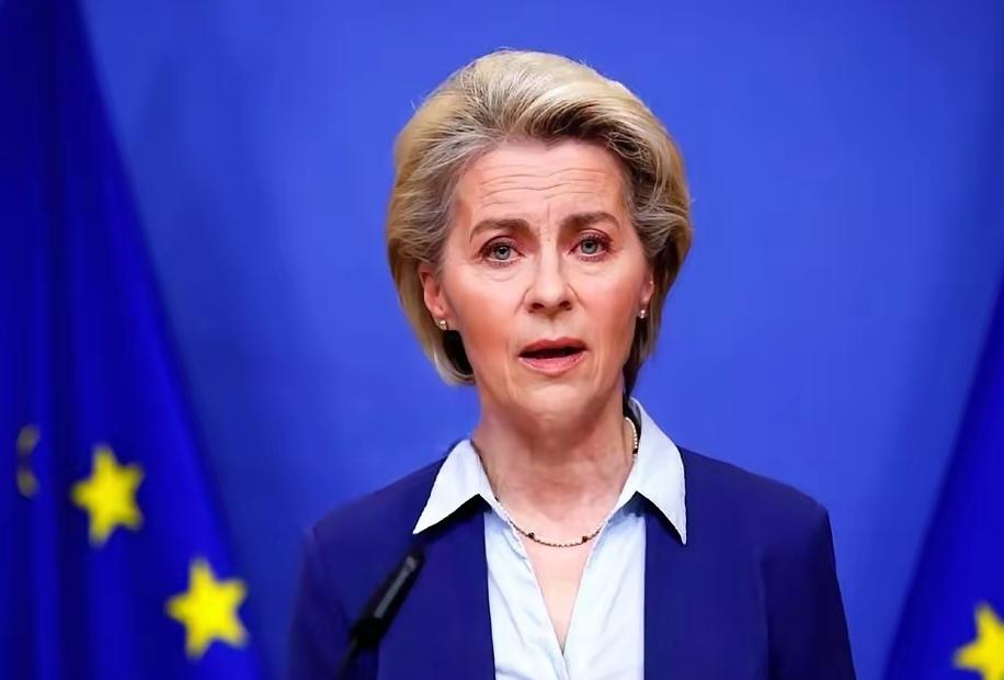 有人当着冯德莱恩的面，问了一个让她差点当场“宕机”的问题。这可不是什么八卦