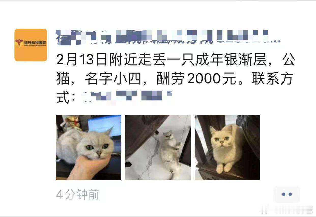 哇，我的朋友圈也有2000酬劳找猫的耶，不聊了，我准备起床去找猫了，钱不钱的无所