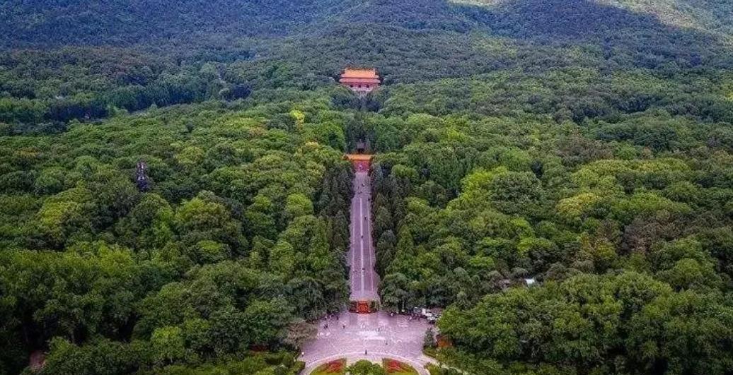 古代活人殉葬：帝王陵墓里的千年血泪史考古队员的手铲落下，殷墟商王大墓的黄土中