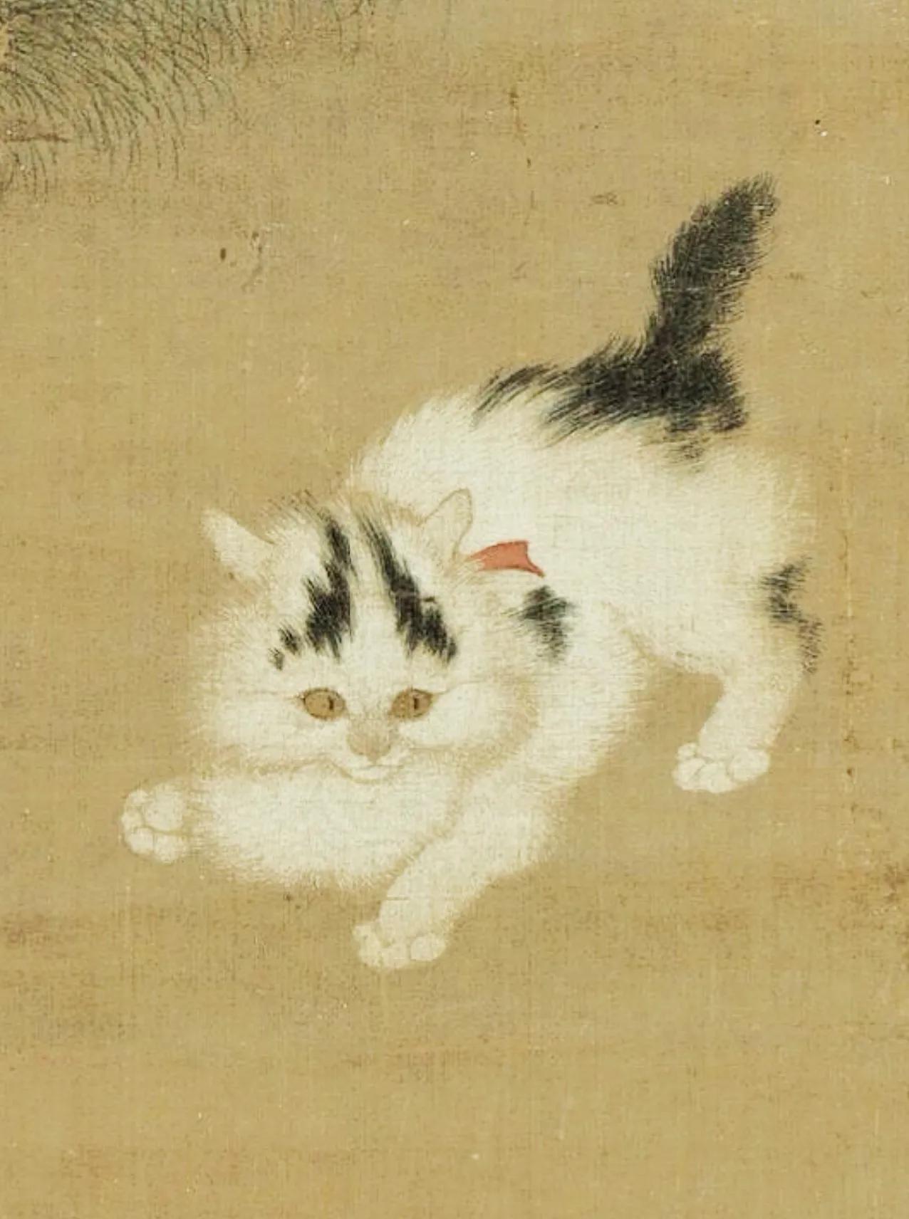 宋孝宗要感谢一只猫。绍兴二年，宋高宗赵构从太祖一支赵德芳后裔里筛选出两名幼童入宫