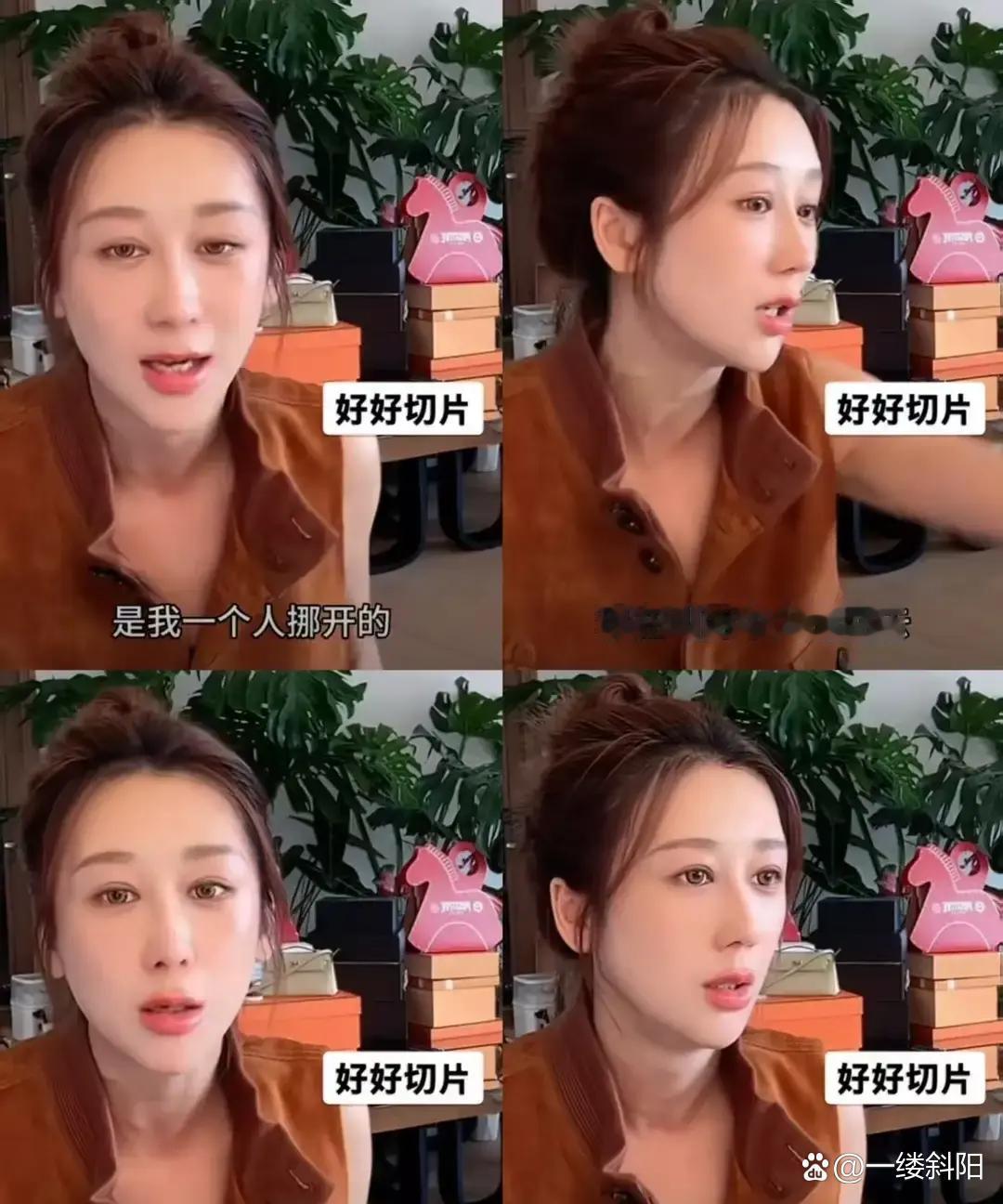 蒋丽莎现在才发现，陈浩民不心疼她。她在直播间吐槽陈浩民，为了修灯，她一个人挪开大