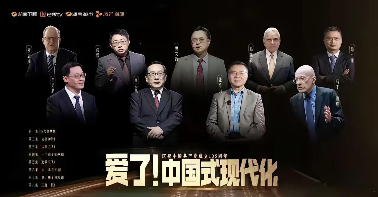 纵论国际风云，张维为、高志凯妥妥坐中间，沈逸只能站后排。恨国党气晕了！