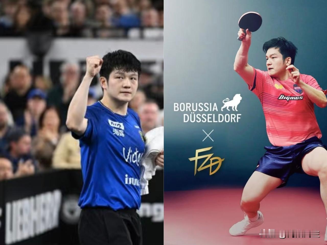 樊振东这下一步棋走得，真是让人直呼内行。跟萨尔布吕肯的合同刚到期，他转头就官