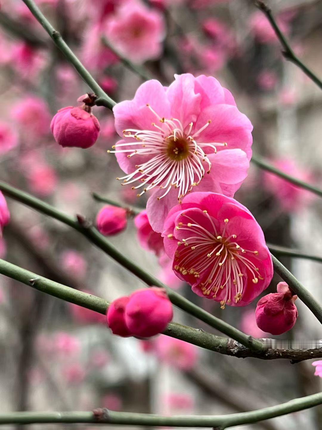 ❄✩̩̩͙°｡𓏲⋆²⁰²⁶/₀₂.₁₀₊˚✧⋆˚🀅🀅🀅𓂃Sofar