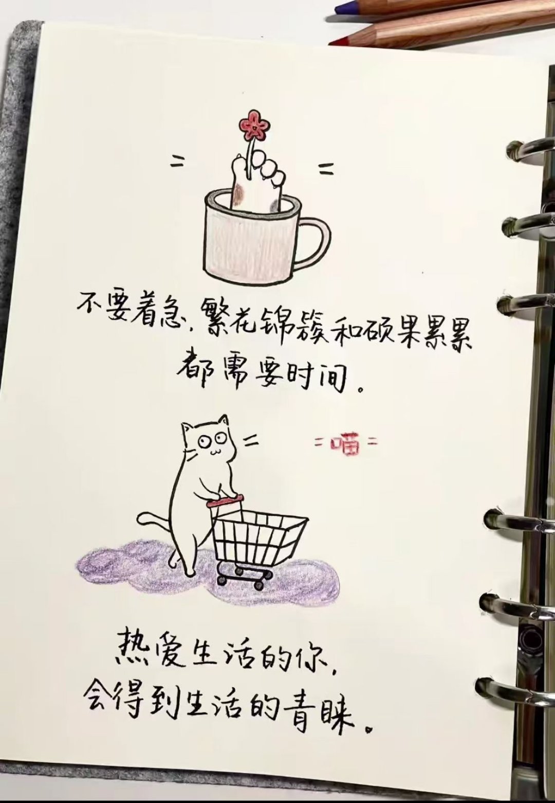 被尘世所累也被喜欢的一切治愈～每个人都有自己的角落安静又辽阔孤独又踏实​​​