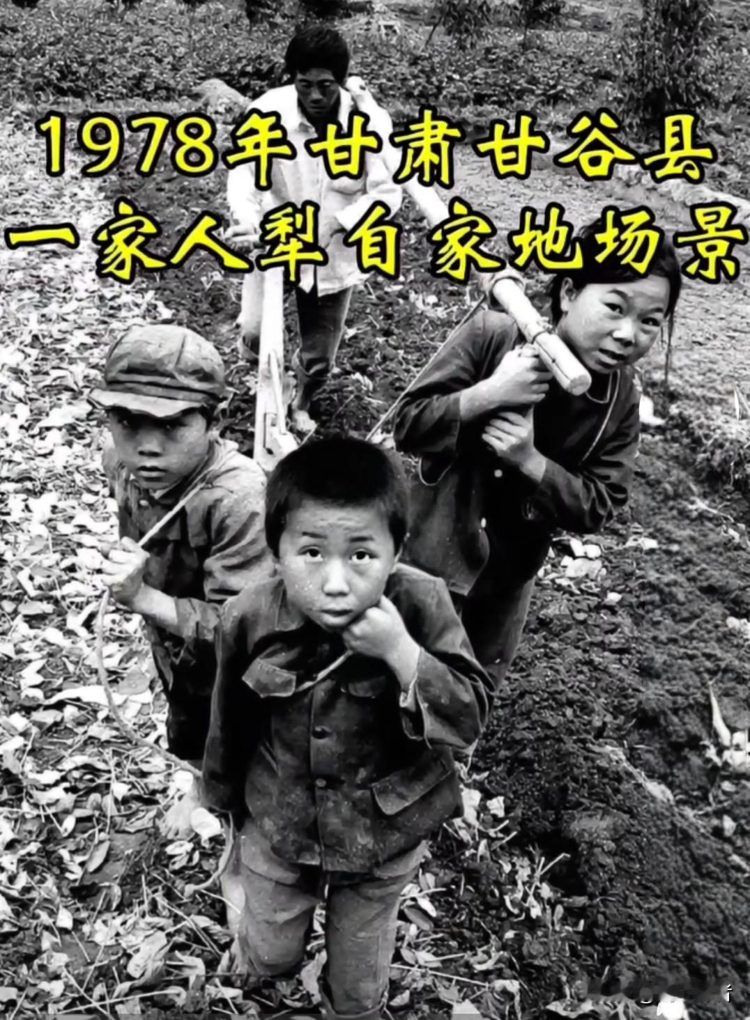 好多人惊叹七八十年代还有这样犁地的？时代发展的太快，让人已经忘了儿时走过的路！