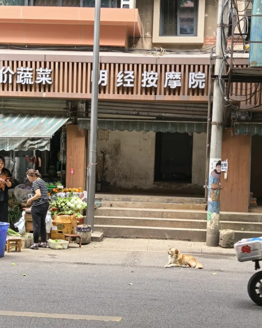 这个是治什么病的？这个是治什么病的？
