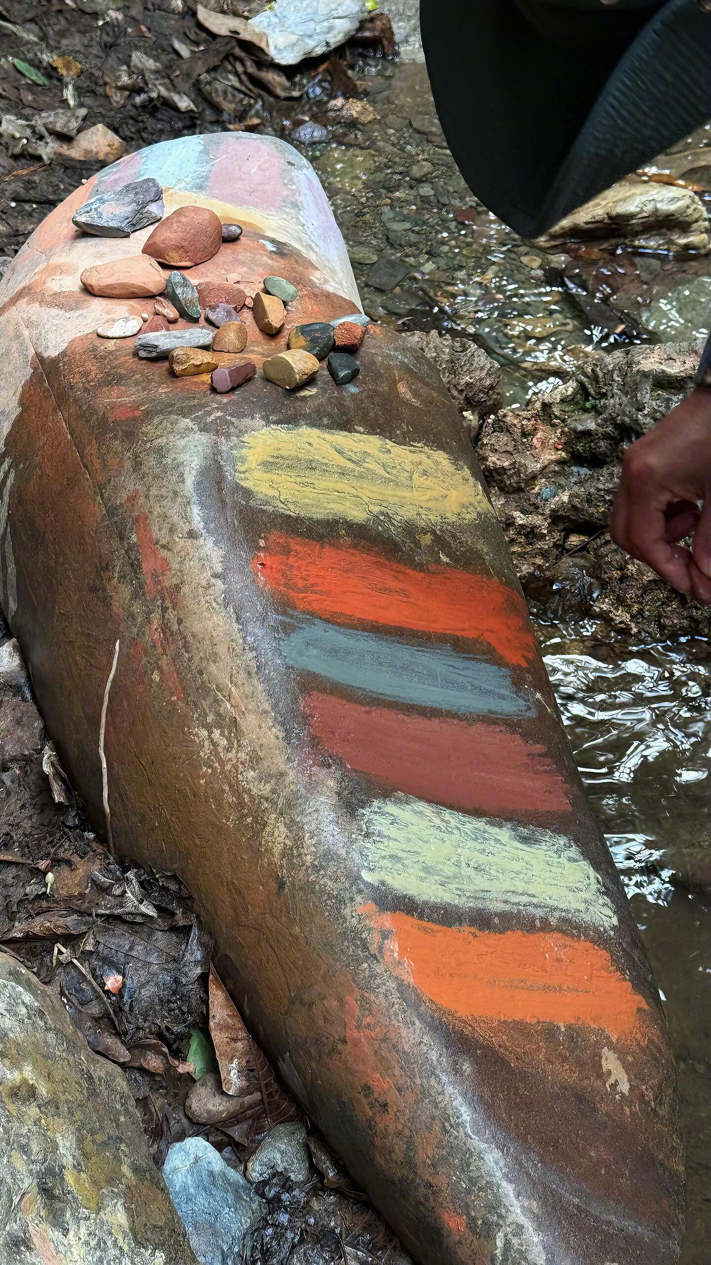 人是野生的，溯溪，攀瀑，与自然撞个满怀。风在耳边，水在脚下，自由在心里💦春夏开