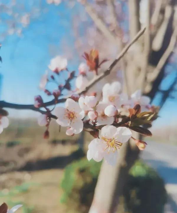先懂规则，再玩规则。“百忍成金”，忍得住气，受得住委屈。“多才多艺”，遇难题，多
