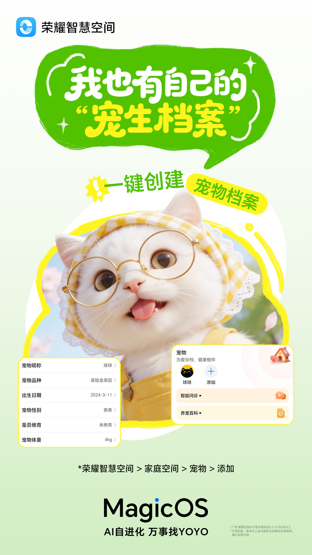 必须夸夸耀子这波太懂铲屎官了～MagicOS月月新在荣耀智慧空间上新了宠物空